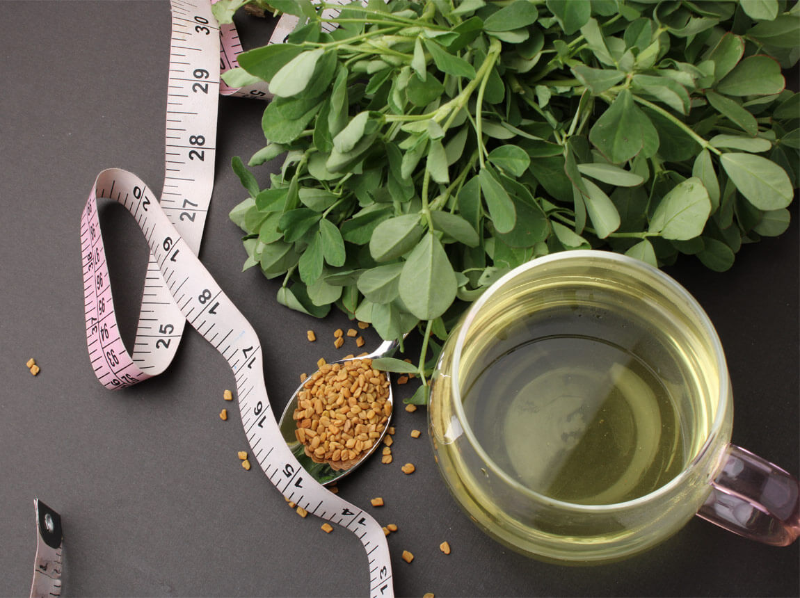 Schinduf (Trigonella foenum-graecum)