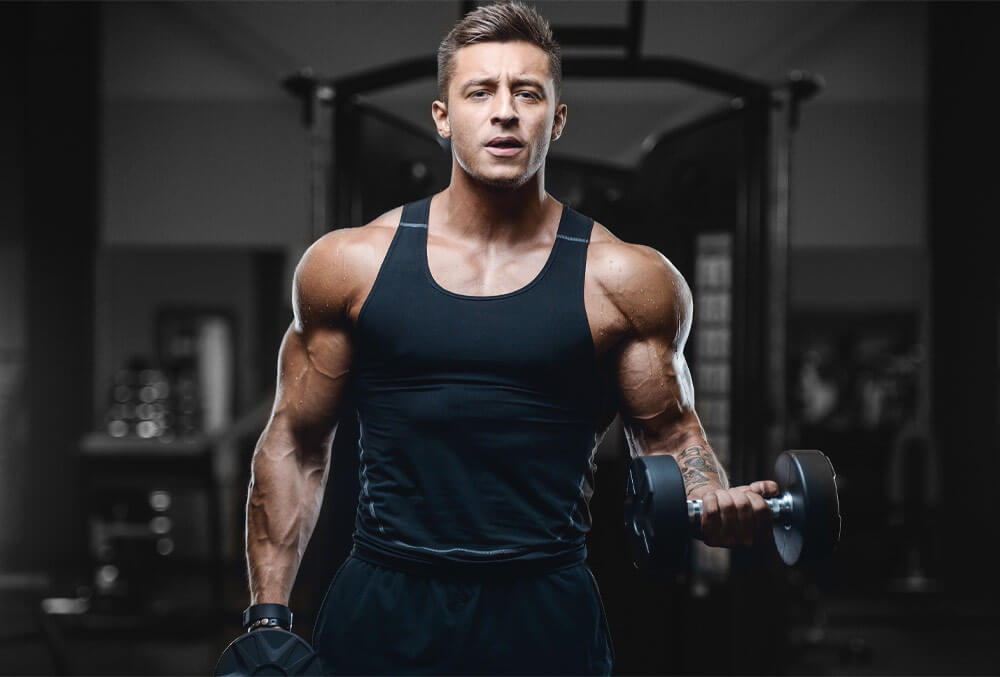 construirea masei musculare 