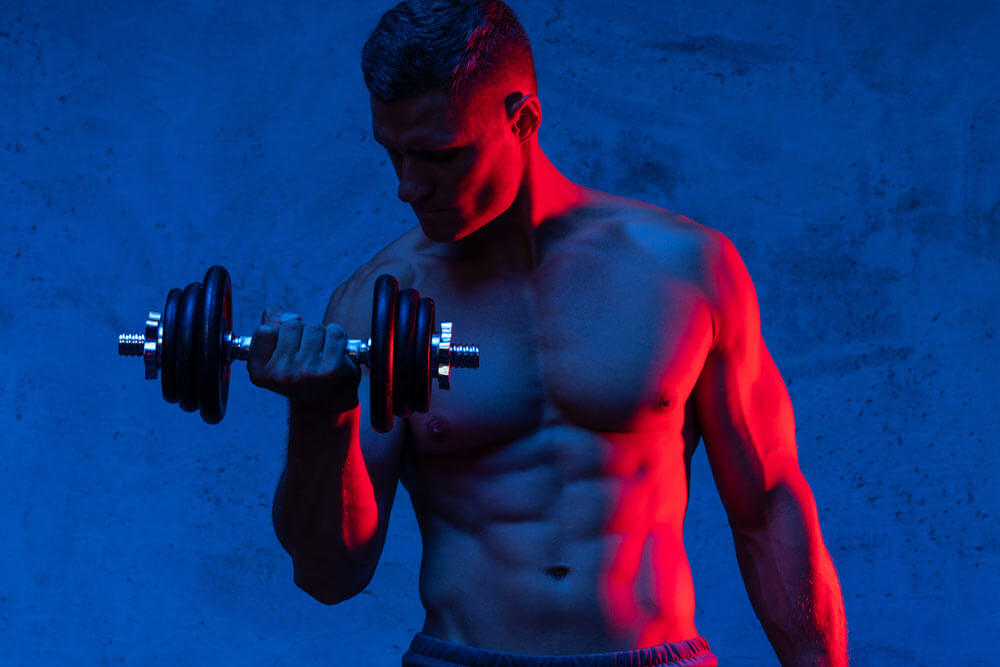 mușchi de beta alanină