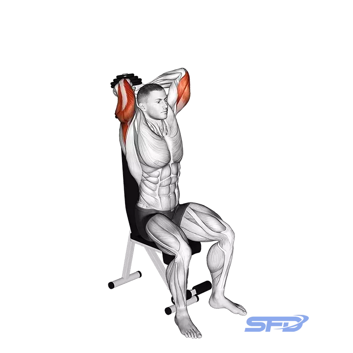 Dumbbell Seated Triceps Extension