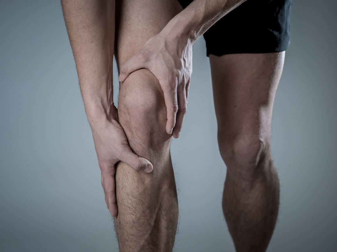 masculin - cartilaj, articulații 