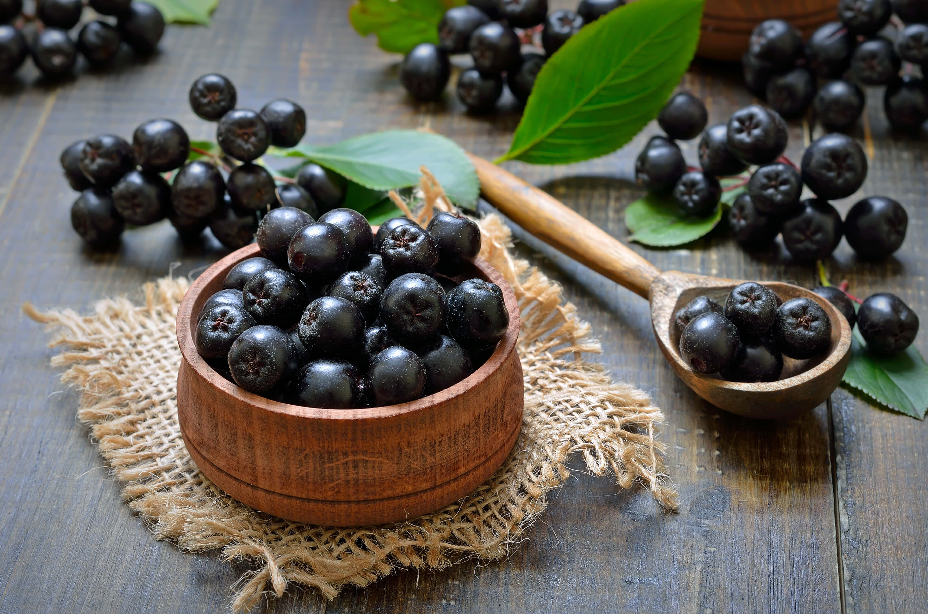 aronia