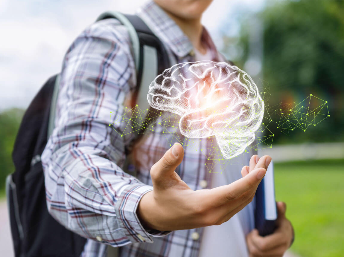 creier, gândire, creatină