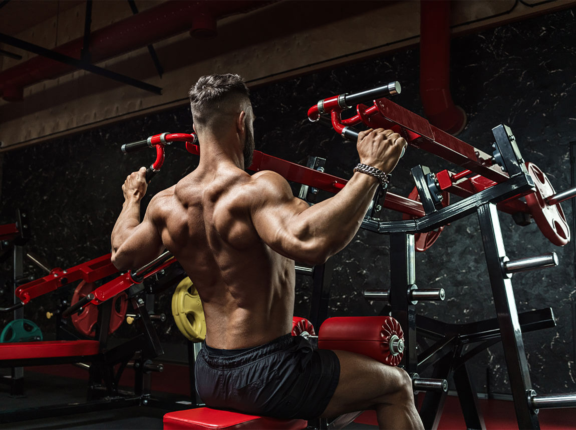 glutamină - bărbat, antrenament de forță