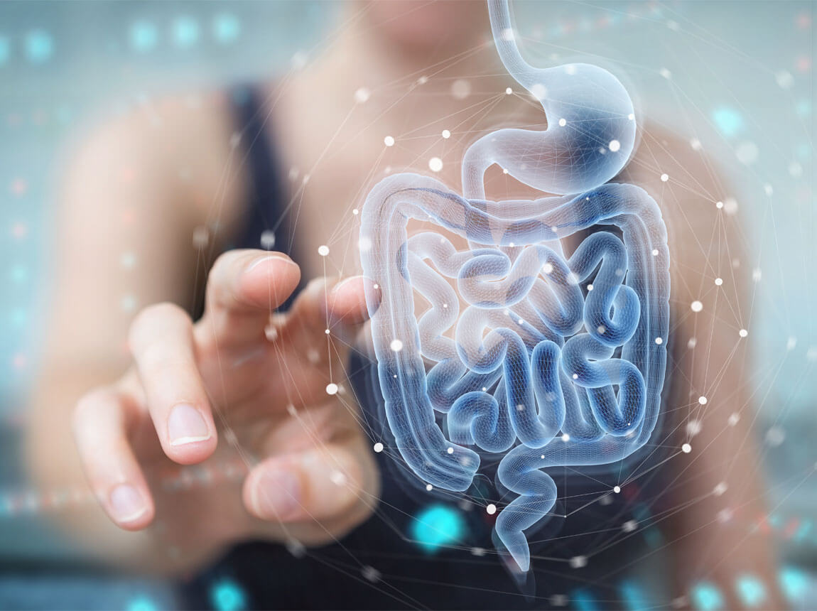 intestine, probiotice