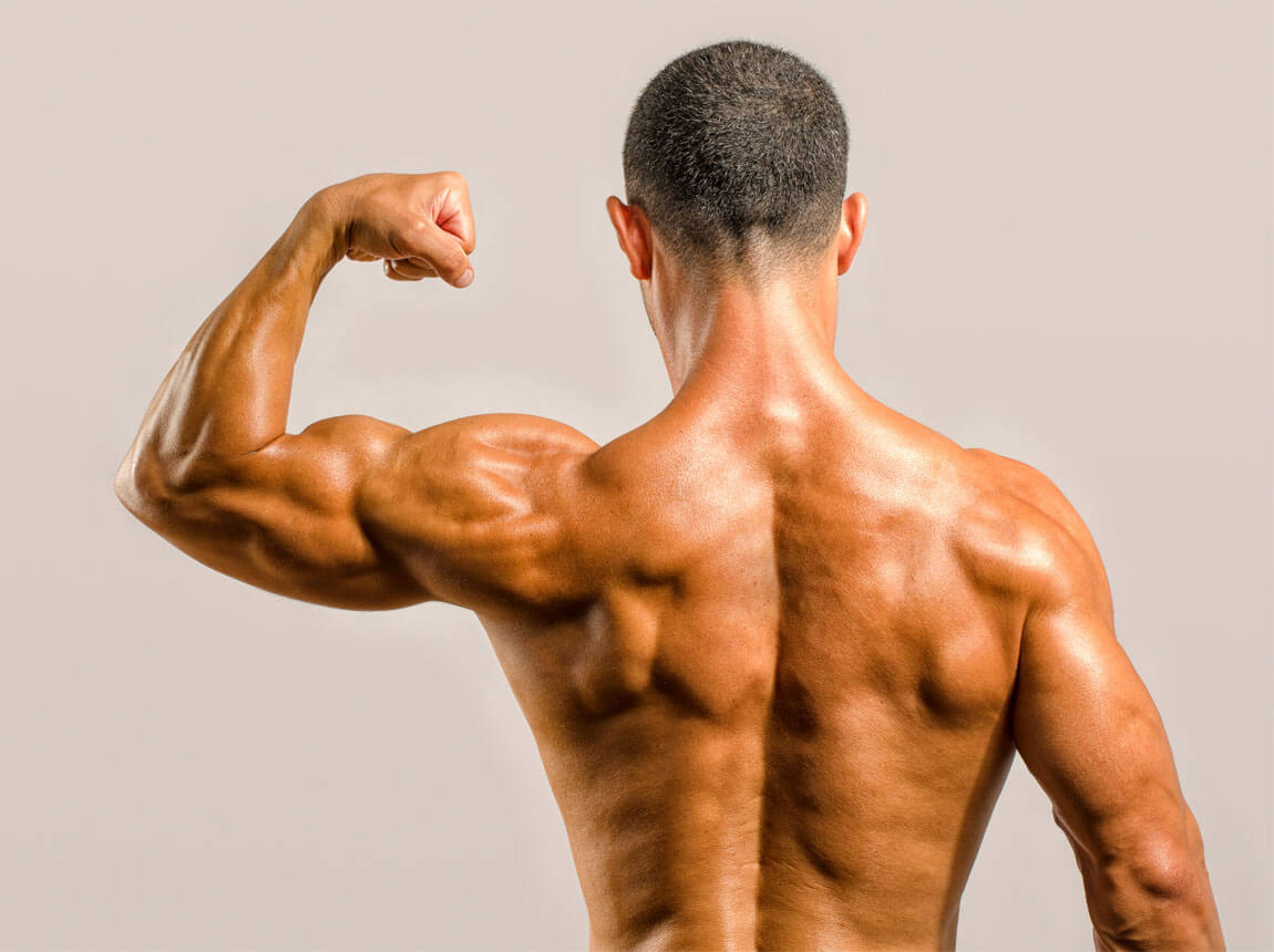 antrenament pentru bicepși