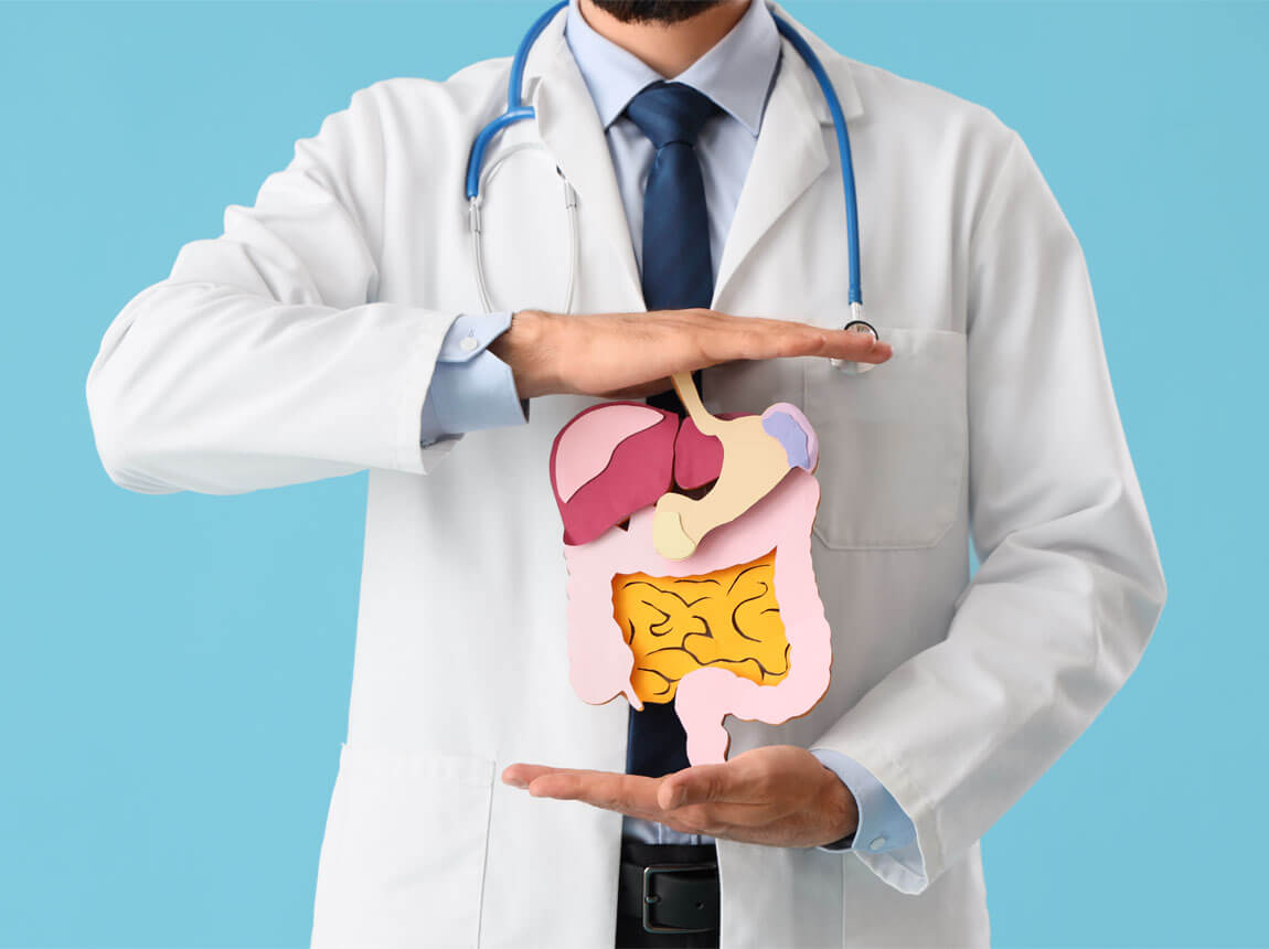 digestie, intestine, glutamine 