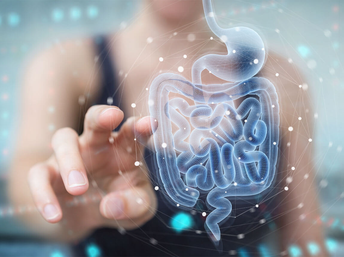 intestin, digestie, probiotic