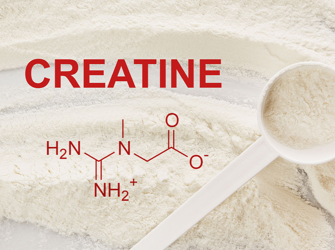 creatine 