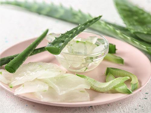 Aloe vera - proprietăți, acțiune și utilizare