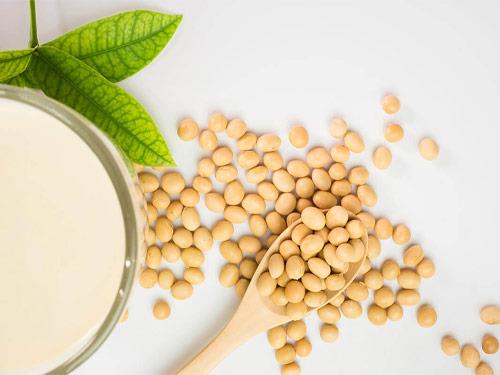 Este sănătos izolatul de proteine din soia?