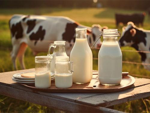 Proteina din cazeină – merita să o consumăm?