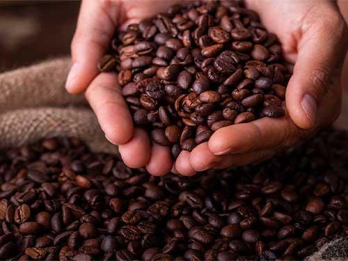 Mateina – ce este? Proprietăți, utilizare și efect