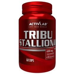 Tribu Stallion