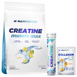 Creatină Monohidrată (Creatine Muscle Max) + cadouri