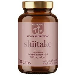 Mushrooms Shiitake