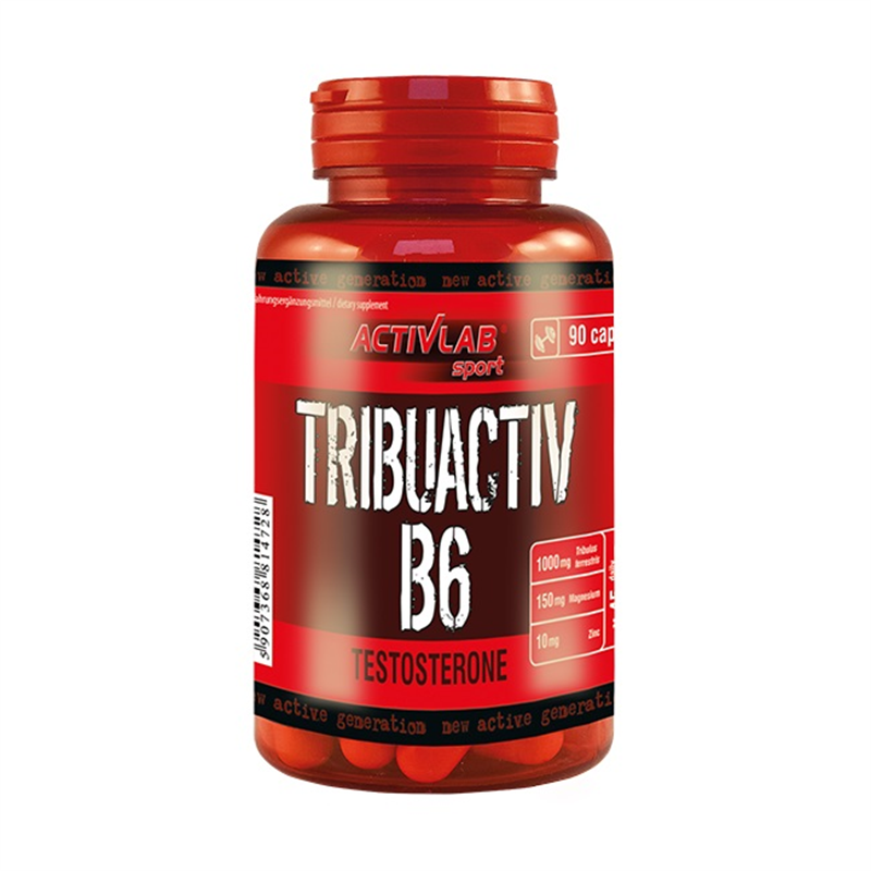 ActivLab Tribuactive B6